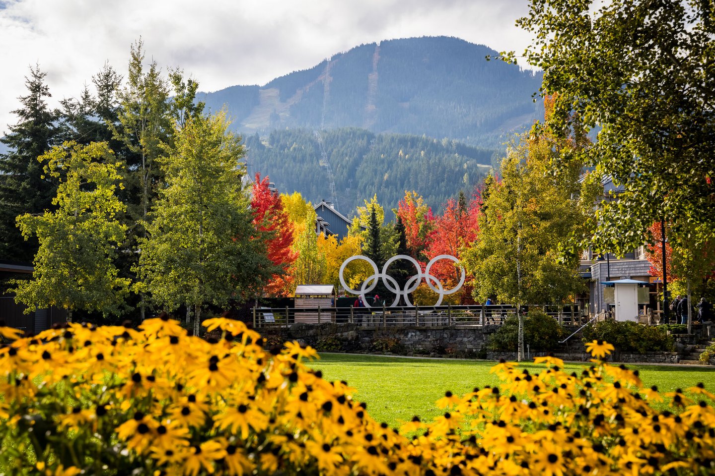 Image of Whistler