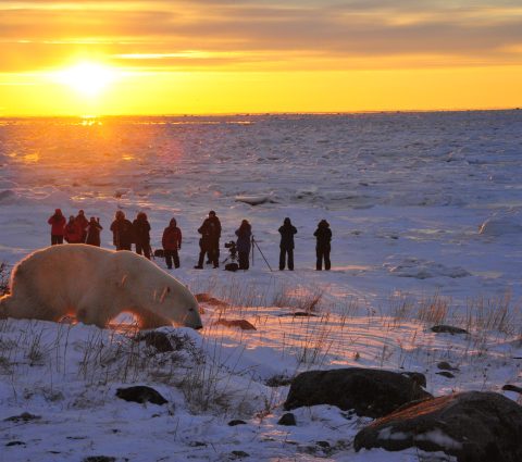 Image of Churchill Manitoba