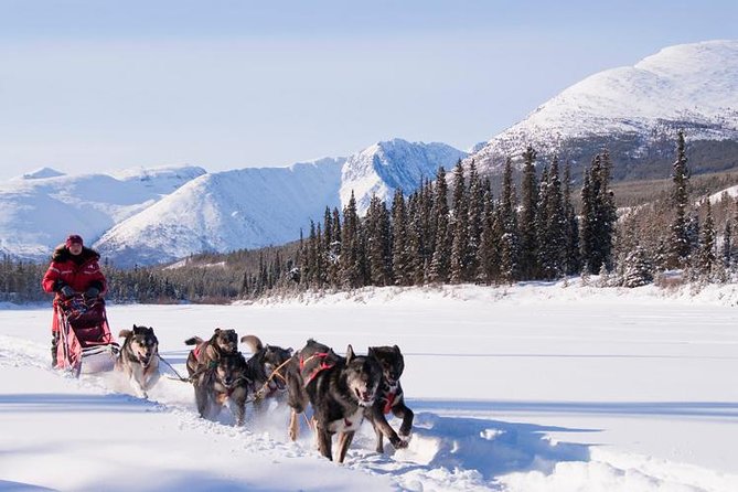 Image of Northern Yukon