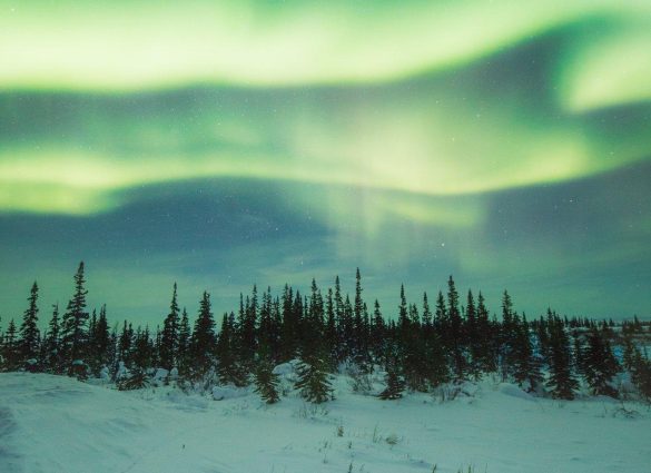 Image of Churchill Manitoba