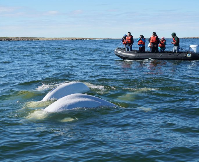 Image of Churchill Manitoba