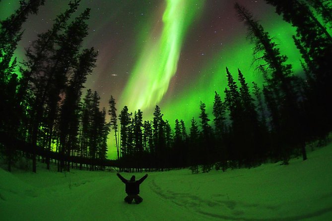 Image of Northern Yukon