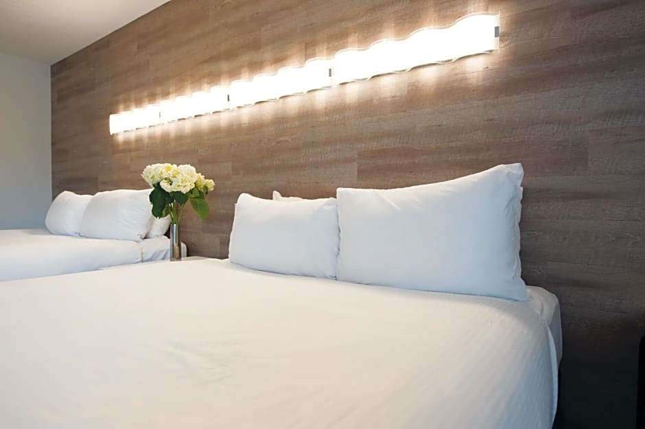 Photo from Elk & Avenue Hotel Banff