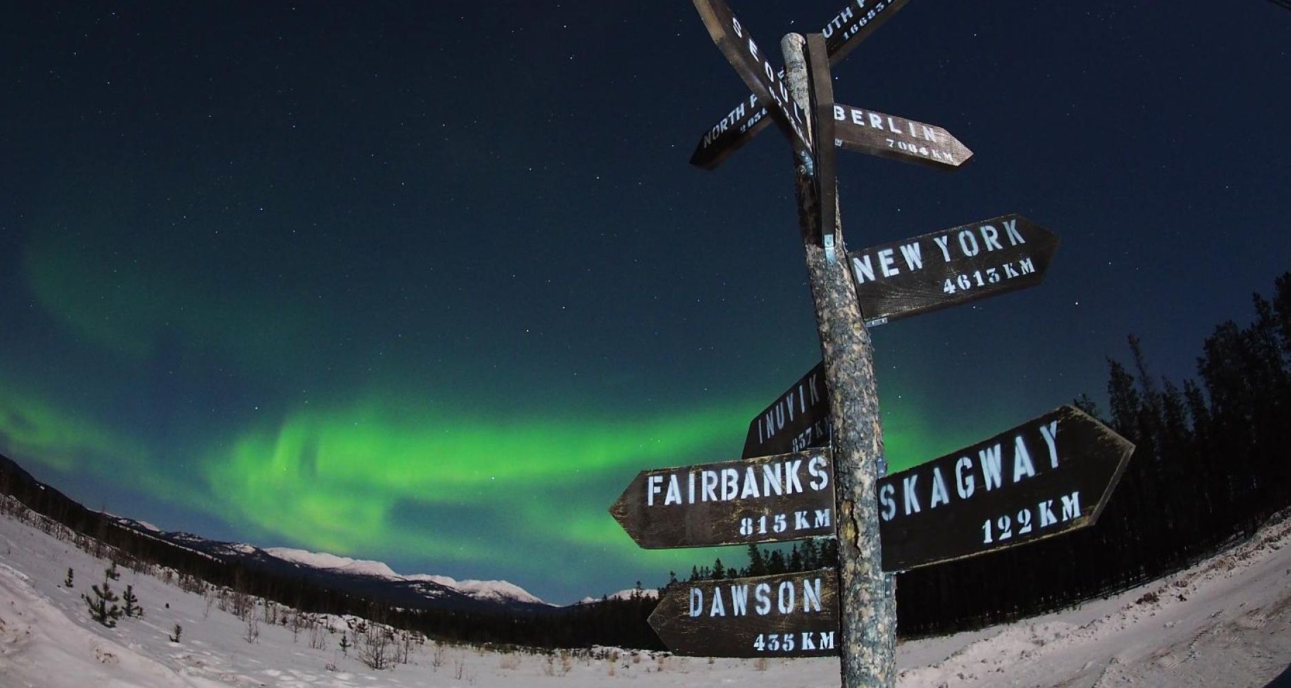 Image of Wildlife, Hot Springs, and Aurora: A Yukon Winter Getaway!