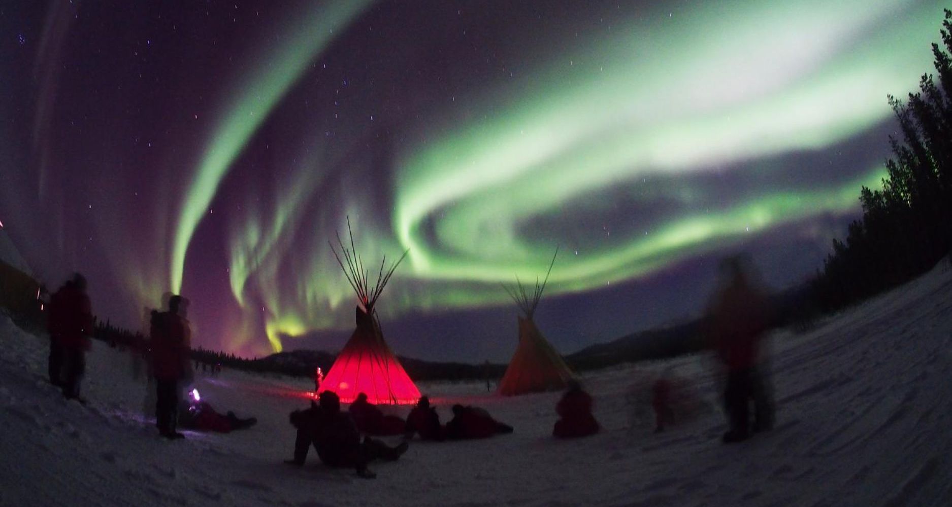 Image of Wildlife, Hot Springs, and Aurora: A Yukon Winter Getaway!