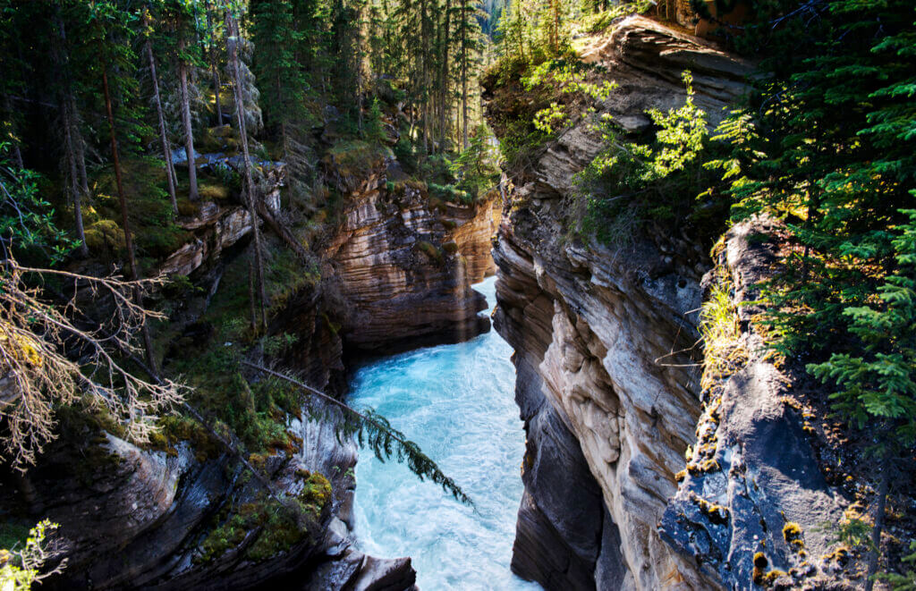 Image of Canadian Pacific: The Rockies to Vancouver by Rail Getaway!