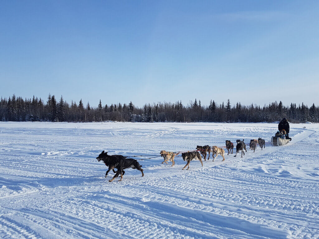 Image of Yellowknife Aurora Hunting Winter Getaway!