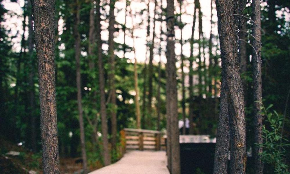 Image of Modern Cabin Getaway in Whitehorse!